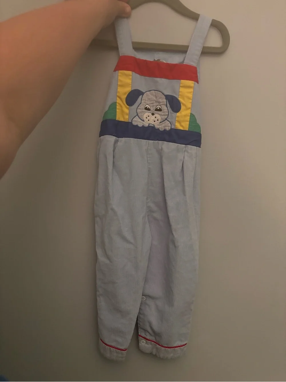 Light Blue Puppy Embroidered Kids Overalls